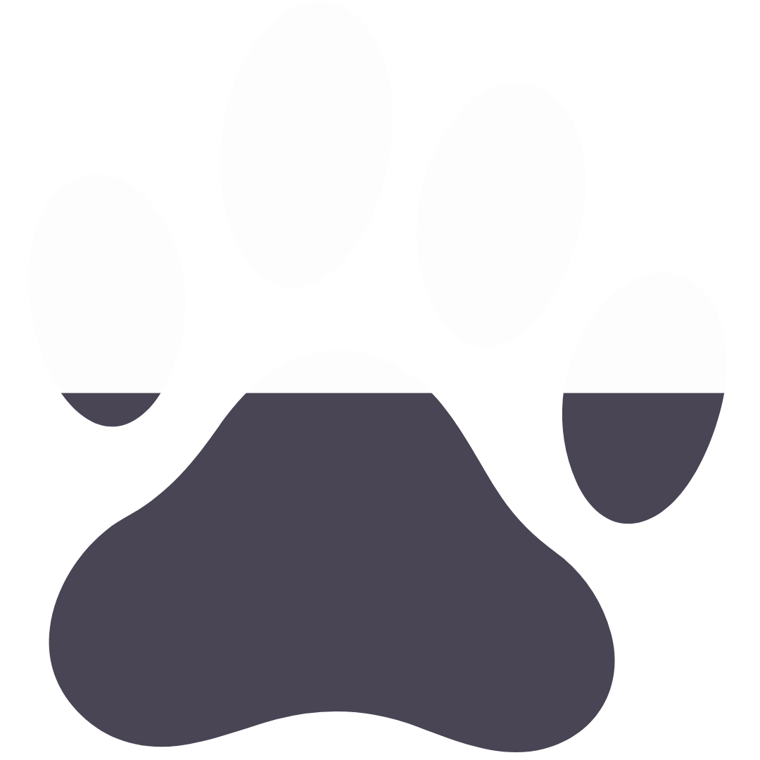download - Marketing Bear